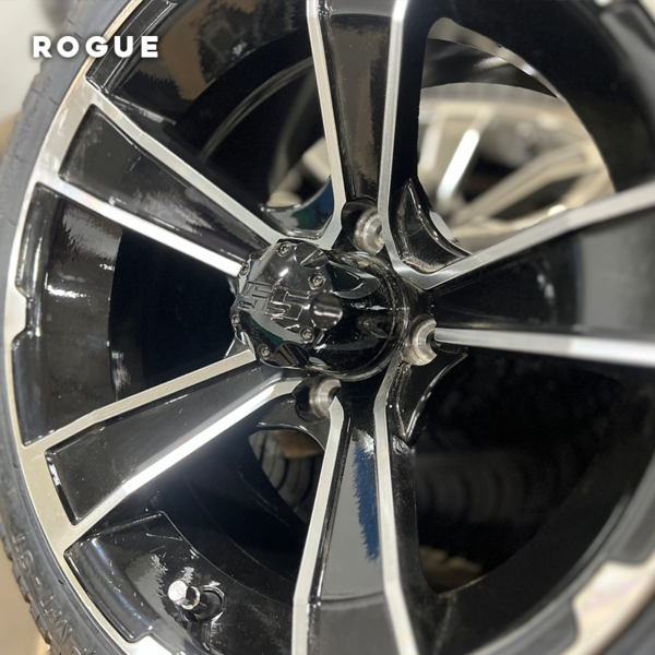 Rogue - Image 3